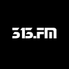 undefined 313.FM