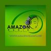 undefined Amazon Radio