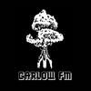 undefined Carlow FM