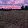 undefined Country Joy