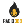 undefined Radio 368