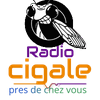 undefined radiocigale