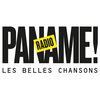 undefined RADIO PANAME