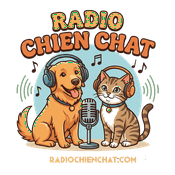 Radio Radio Chien Chat