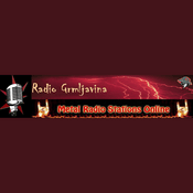 Radio Radio Grmljavina