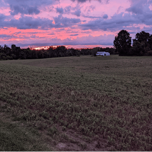 Country Joy