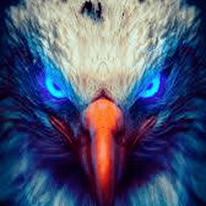 Radio Seeadler