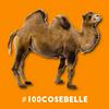 undefined #100cosebelle