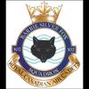 undefined 102 Squadron