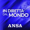 undefined ANSA In diretta dal mondo