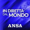 undefined ANSA In diretta dal mondo