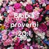 undefined Bibbia proverbi 20:1