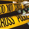 undefined Biology & Criminology