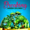 undefined Breaking Green Ceilings