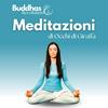 undefined Buddhas Revolution