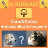 undefined Cane&gatto: le domande più frequenti