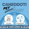 undefined Caneddoti