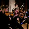 undefined Challenging Performance: Classical Music Performance Norms and How to Escape Them