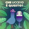 undefined Che uccello è questo?