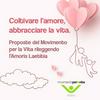 undefined Coltivare l’amore, abbracciare la vita