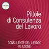undefined CONSULENTE DEL LAVORO IN AZIONE