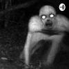 undefined Creepypasta Stories