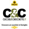 undefined Cuccioli&amp;Crocchette: crescere un cucciolo di cane in famiglia. Storie, consigli, alimentazione sana.