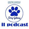 undefined Dog Galaxy Podcast