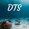 undefined DTS