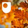 undefined Ecosystems: the carbon cycle - for iPod/iPhone