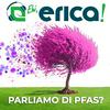 undefined Ehi, Erica! Parliamo di PFAS?