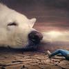 undefined Esercizio per interpretare i sogni