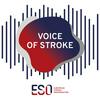 undefined ESO Voice of Stroke