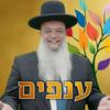 undefined הרב יגאל כהן - שיעורים שבועיים