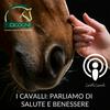 undefined I cavalli: parliamo di salute e benessere