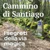 undefined Il Cammino di Santiago - I segreti della Via Magica