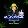 undefined InTALKxicated