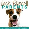 undefined Jack Russell Parents