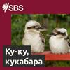 undefined Koo-koo, kookaburra! - Ку-ку, кукабара!