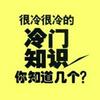 undefined 冷门知识 | 丰富你的知识储备