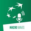 undefined Macro Waves