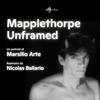 undefined Mapplethorpe Unframed