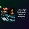 undefined Mellow Night Music, Quiet Storm & Blueprint By Roby Bellini