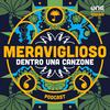 undefined Meraviglioso - Dentro una Canzone