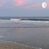 undefined Ocean sounds