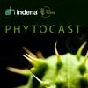 undefined Phytocast - Italiano