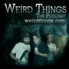 undefined Podcasts – Weird Things