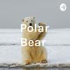 undefined Polar Bear