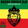 undefined Ragga Jungle Drum and Bass Workout Mix Podcast with Rudeboy Rai
