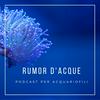undefined RUMOR D'ACQUE